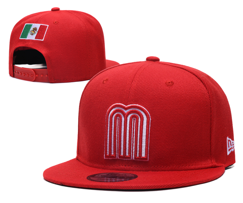 NFL 2025San Francisco 49ers hat 056YS->->Sports Caps